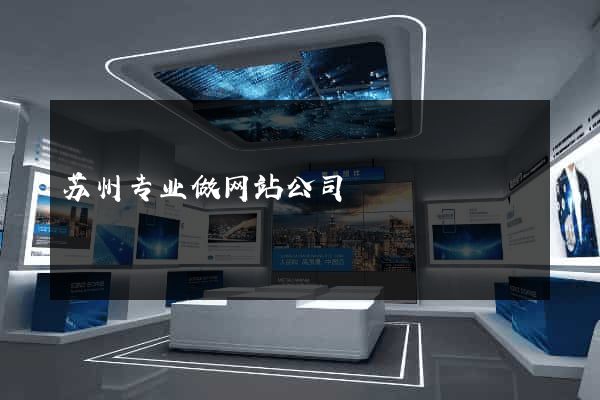 苏州专业做网站公司