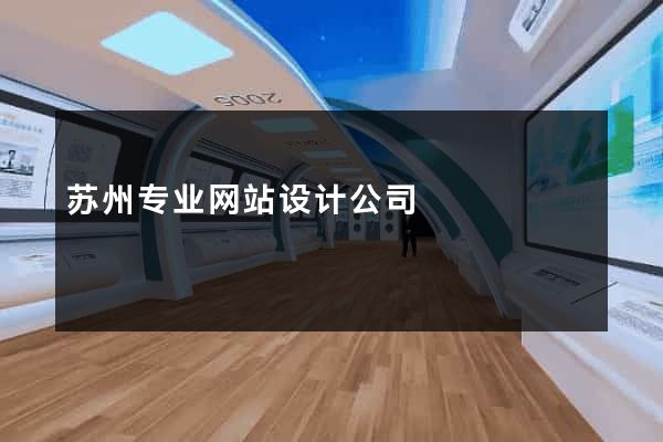 苏州专业网站设计公司
