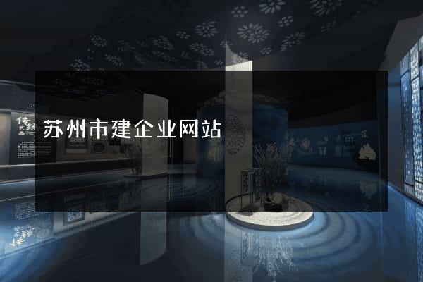 苏州市建企业网站