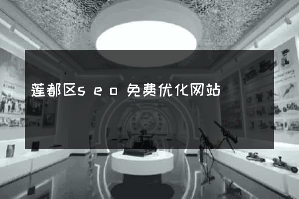 莲都区seo免费优化网站