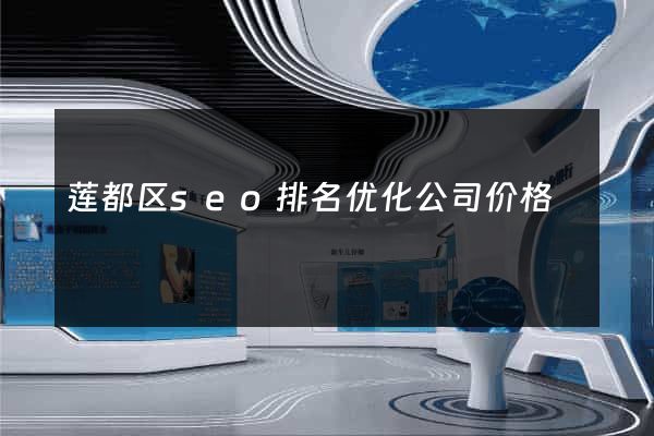 莲都区seo排名优化公司价格
