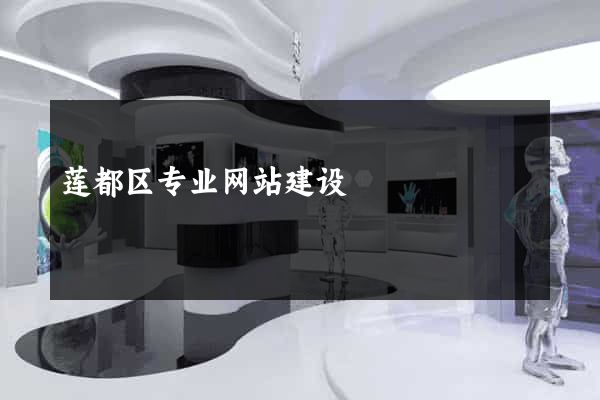 莲都区专业网站建设