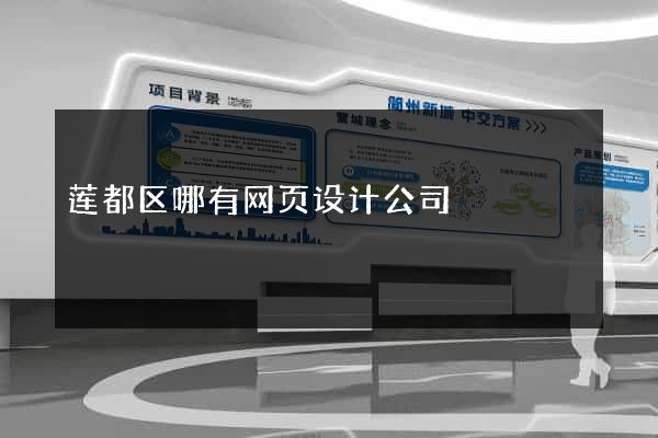 莲都区哪有网页设计公司
