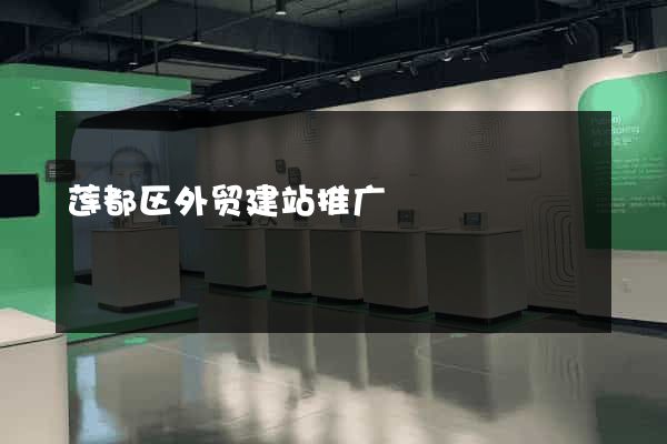 莲都区外贸建站推广