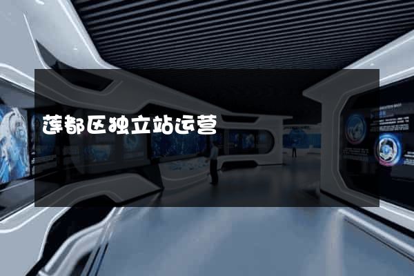 莲都区独立站运营