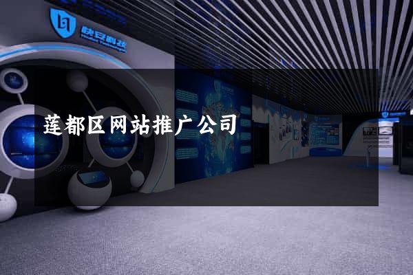 莲都区网站推广公司