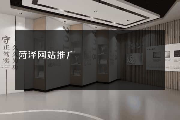 菏泽网站推广