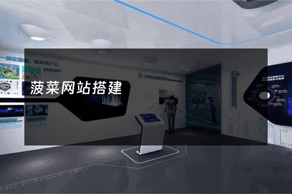 菠菜网站搭建