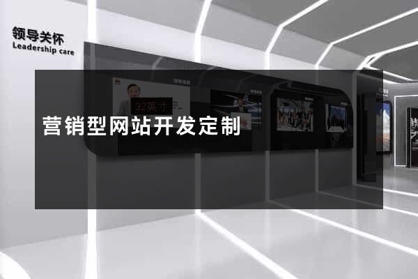 营销型网站开发定制