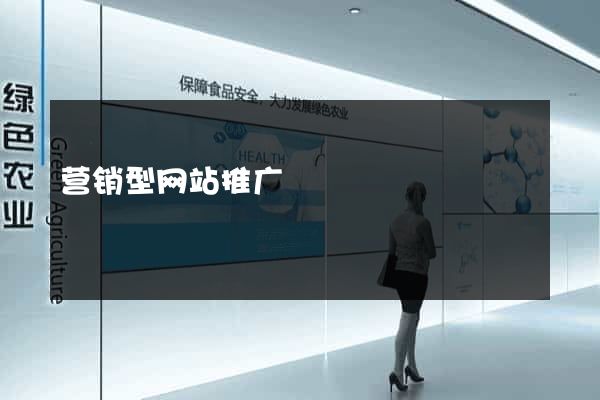 营销型网站推广