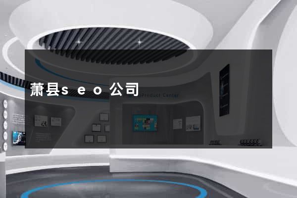 萧县seo公司