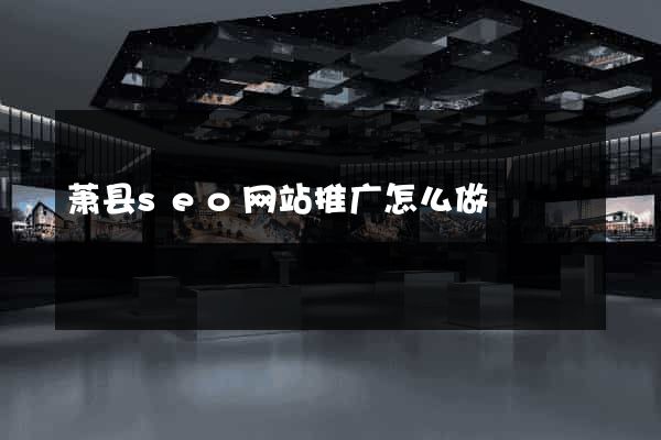 萧县seo网站推广怎么做