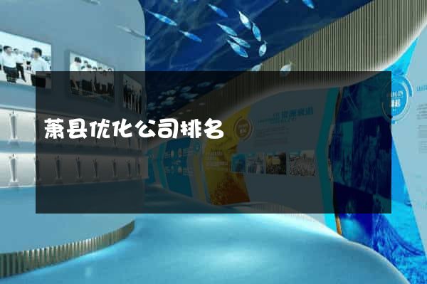萧县优化公司排名
