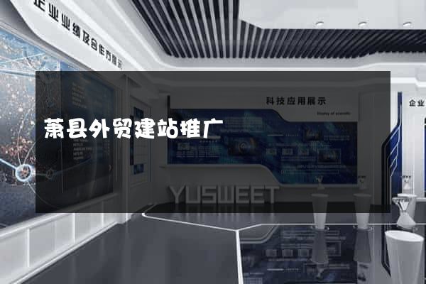 萧县外贸建站推广