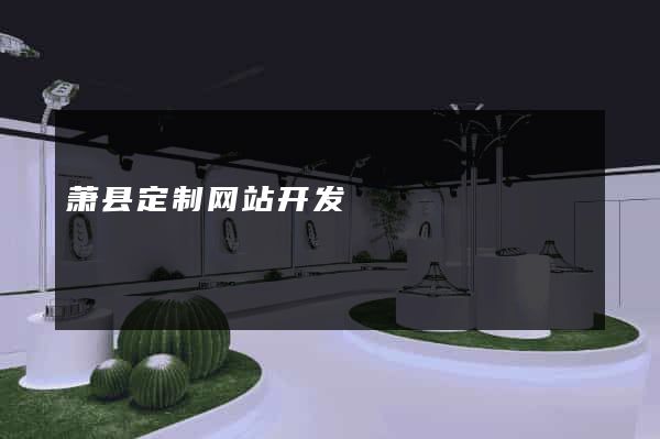 萧县定制网站开发