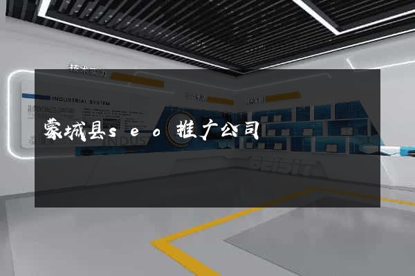 蒙城县seo推广公司
