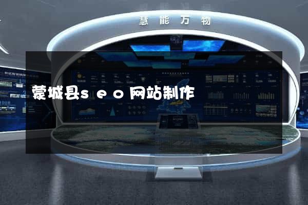 蒙城县seo网站制作
