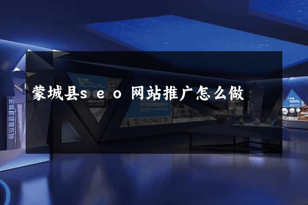 蒙城县seo网站推广怎么做