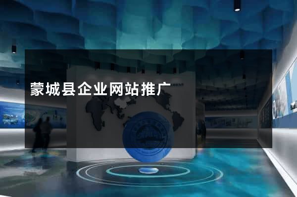 蒙城县企业网站推广