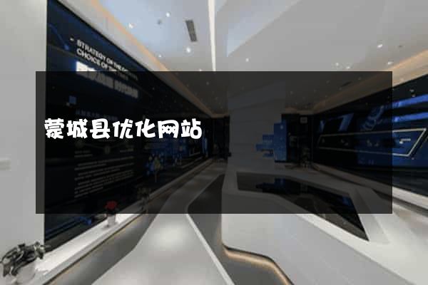蒙城县优化网站