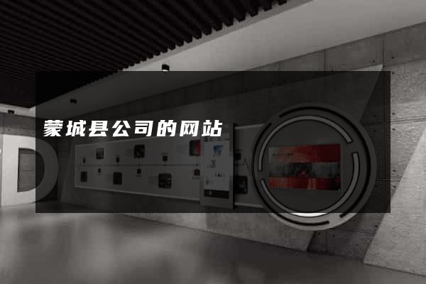 蒙城县公司的网站