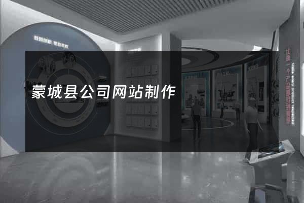 蒙城县公司网站制作