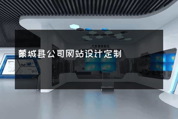 蒙城县公司网站设计定制