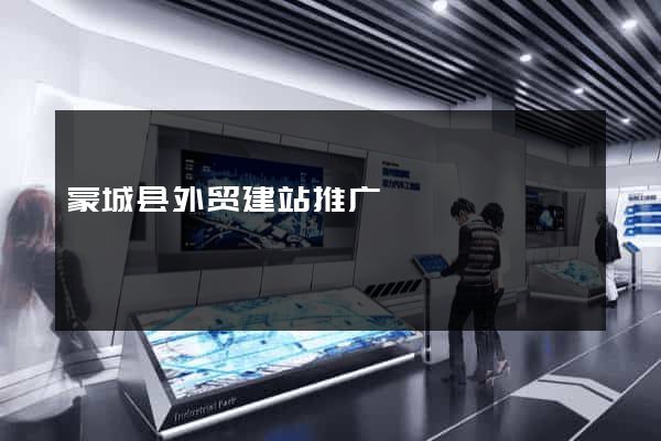 蒙城县外贸建站推广