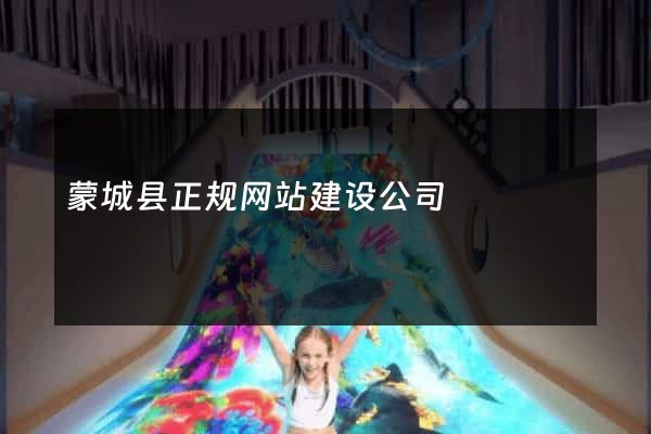 蒙城县正规网站建设公司