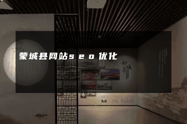 蒙城县网站seo优化