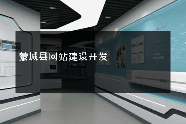 蒙城县网站建设开发