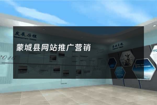 蒙城县网站推广营销
