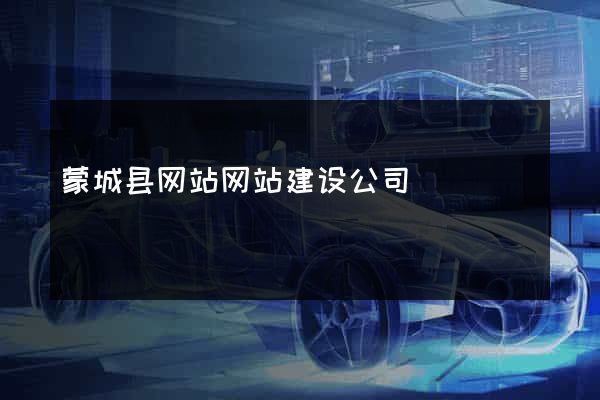 蒙城县网站网站建设公司