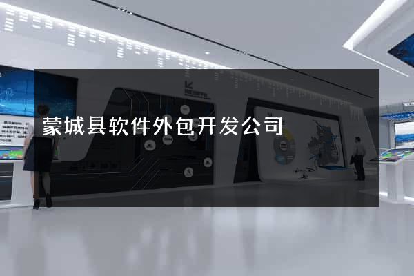 蒙城县软件外包开发公司