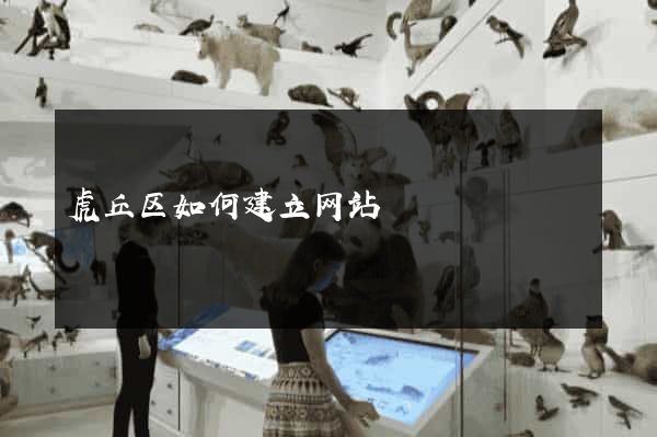 虎丘区如何建立网站