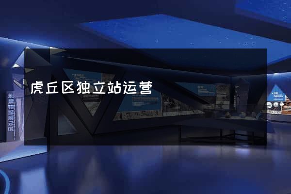 虎丘区独立站运营