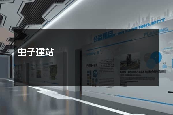 虫子建站