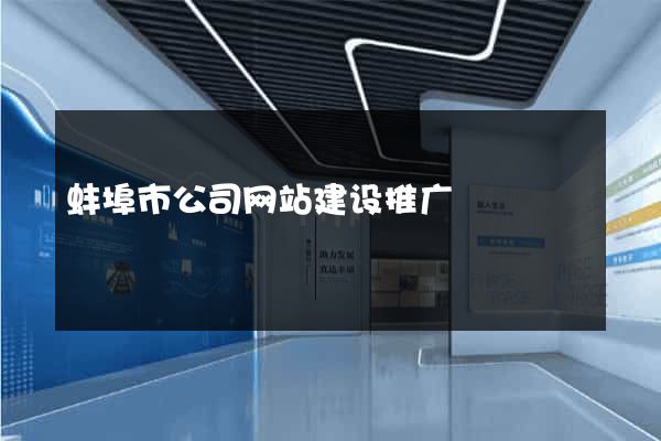 蚌埠市公司网站建设推广