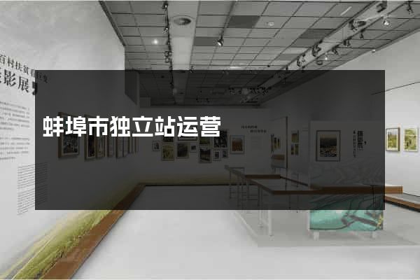 蚌埠市独立站运营