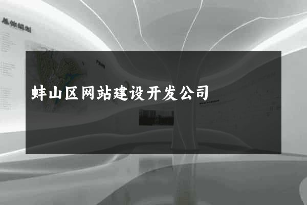 蚌山区网站建设开发公司