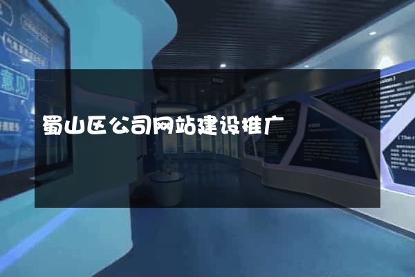 蜀山区公司网站建设推广