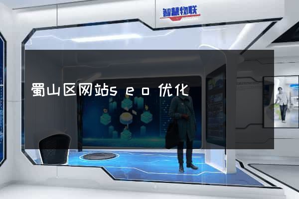 蜀山区网站seo优化