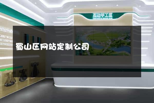 蜀山区网站定制公司