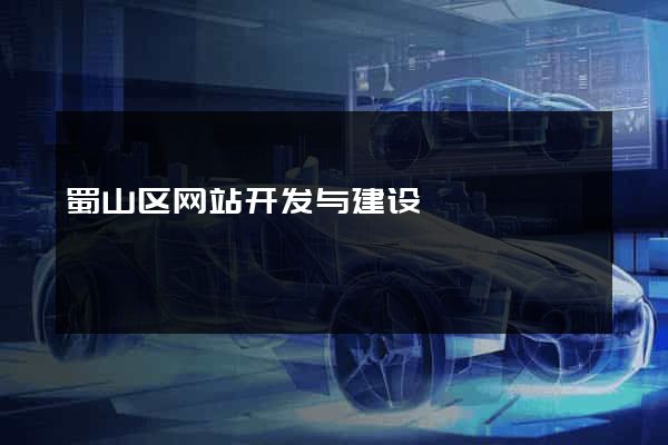 蜀山区网站开发与建设