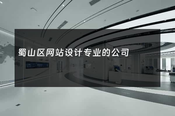 蜀山区网站设计专业的公司