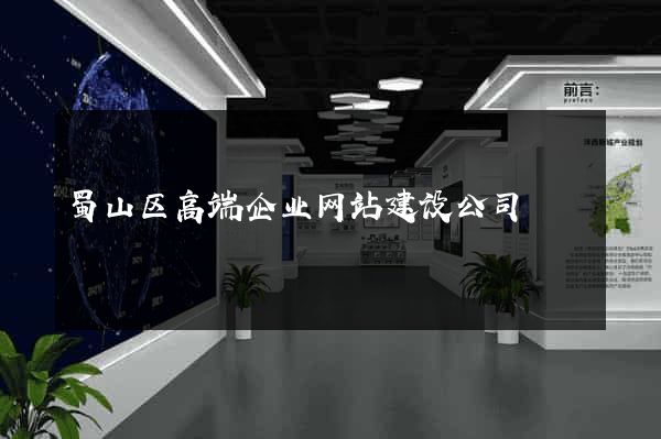 蜀山区高端企业网站建设公司