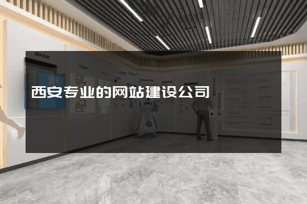 西安专业的网站建设公司