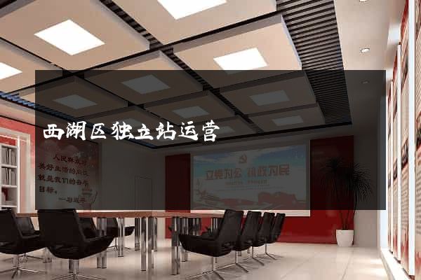 西湖区独立站运营