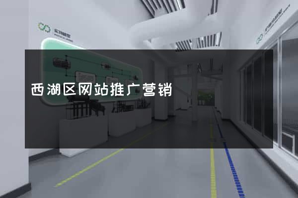 西湖区网站推广营销