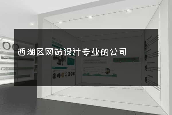 西湖区网站设计专业的公司